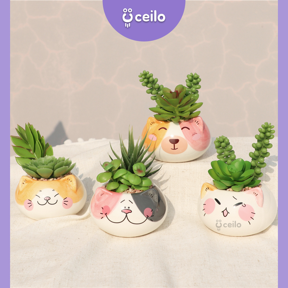 CEILO Kaktus Sukulen Pot Karakter Lucu artifisial Premium Tebal Cactus Succulent untuk dekorasi rumah…