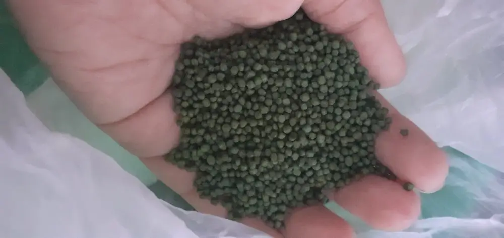Pelet Ikan Koi Taisho 1mm 500gr Pakan Ikan Koi Ukuran Kecil 1mm Repack Lazada Indonesia