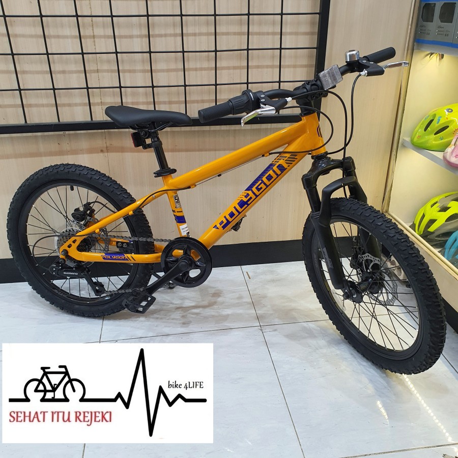 Beli Polygon Siskiu D Online Harga Terbaik Lazada Indonesia