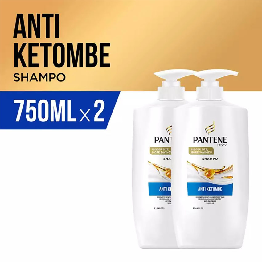 [BELI 2 PROMO SPESIAL] Pantene Shampoo Anti Dandruff Control 750ml (Perawatan Rambut - Shampo/Sampo Anti Ketombe)