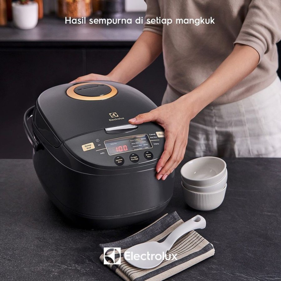 harga rice cooker electrolux digital