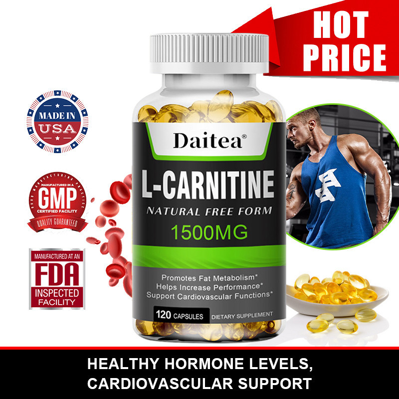 L-Carnitine Injeksi Pelangsing 5 Ampul - Fat Burner Pemecah Lemak | Lazada  Indonesia