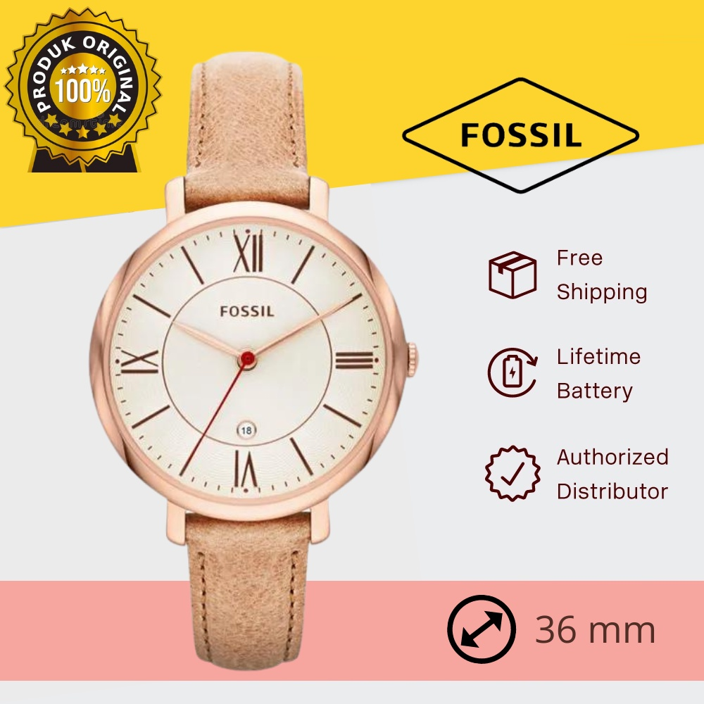 Fossil 3487 2024