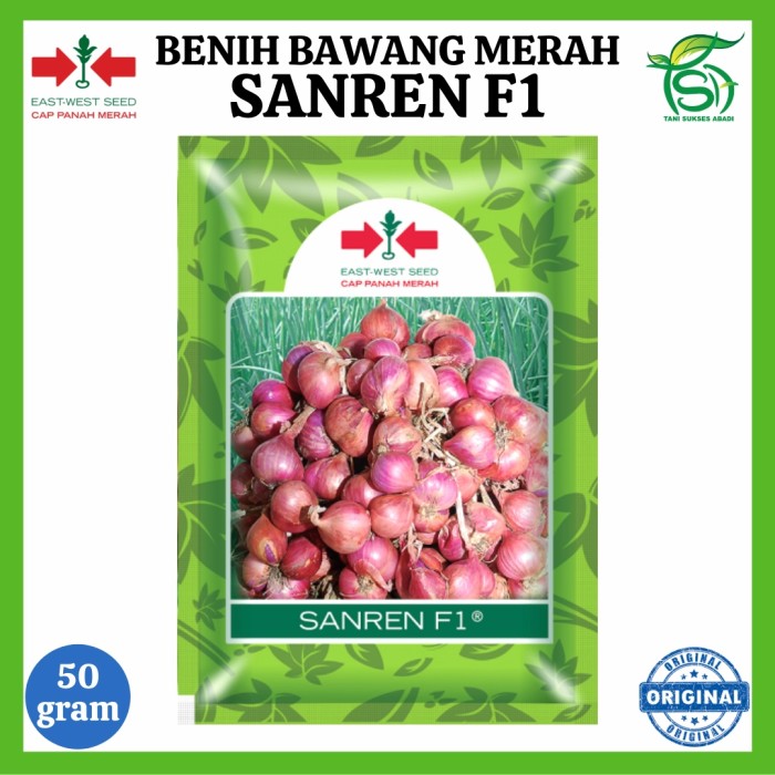 Benih Bawang Merah SANREN F1 (50 Gram) - Bibit Cap Panah Merah 50 Gr Harga 200,000 rupiah*Gratis Ongkir