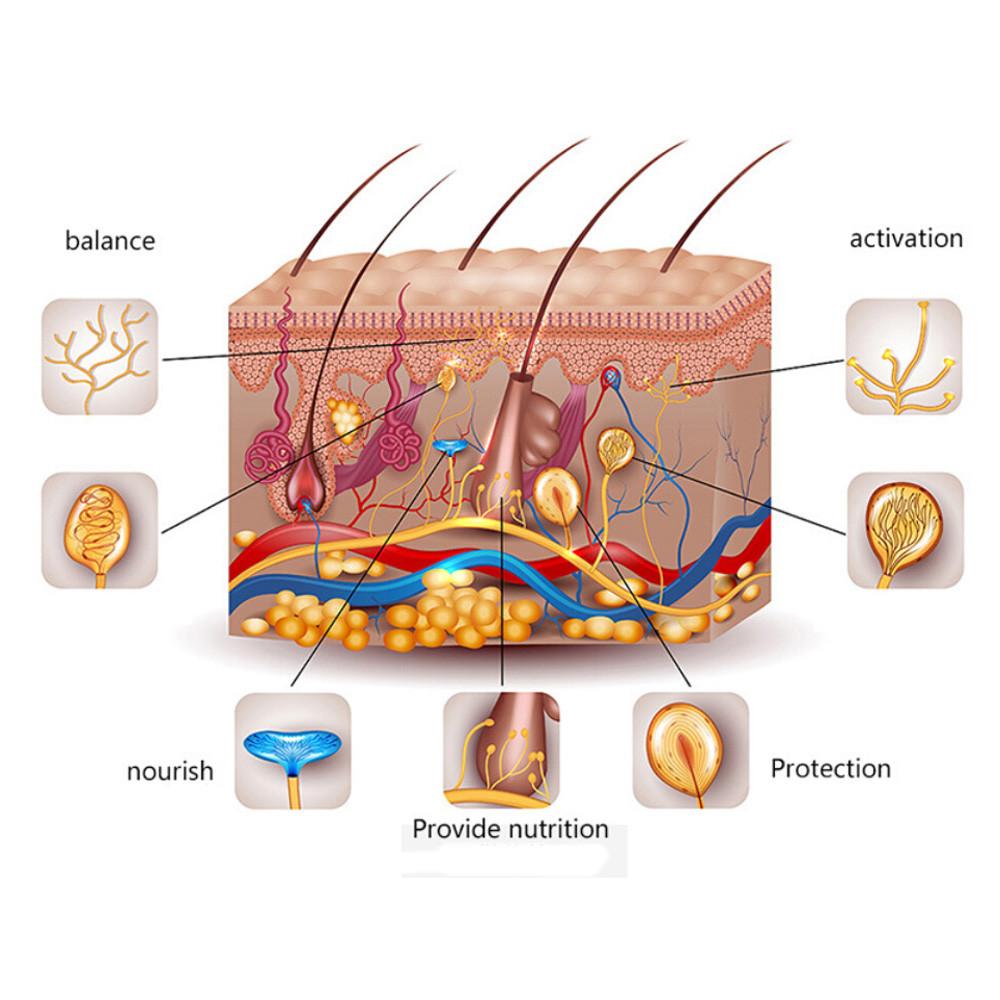 Thuốc Mọc Râu Tóc Tinh Chất Dày Hơn Bộ Ria Mép Tinh Chất Mọc Nhanh Lông Mày 30Ml