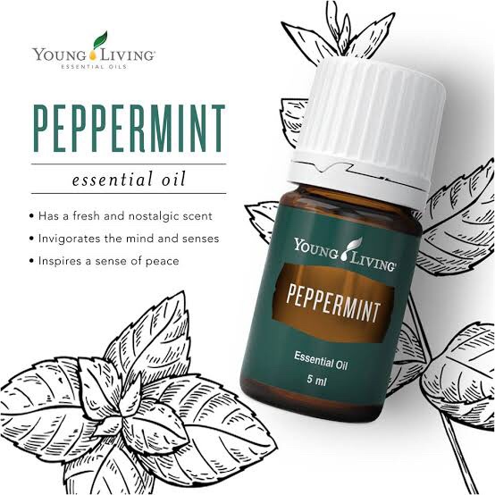 Peppermint Essential Oil Young Living YLEO YL 5ml 15ml