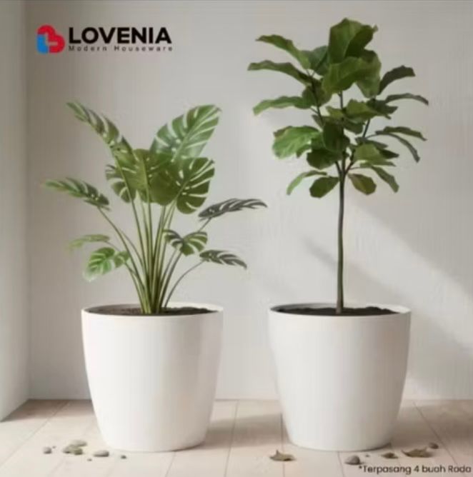 Plastic pots lovenia ceramic 50 plus feet wheel diameter 40 cm thick material