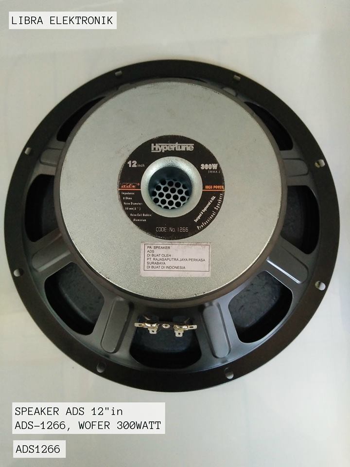 speaker ads 12 inch 300 watt