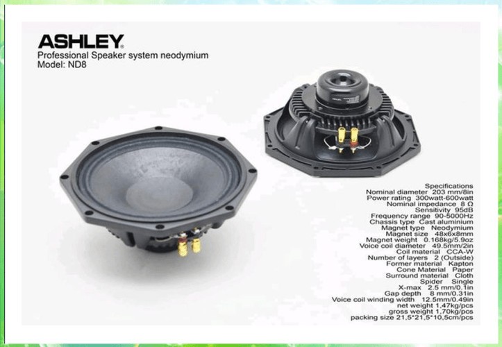 speaker ashley 18 inch neodymium