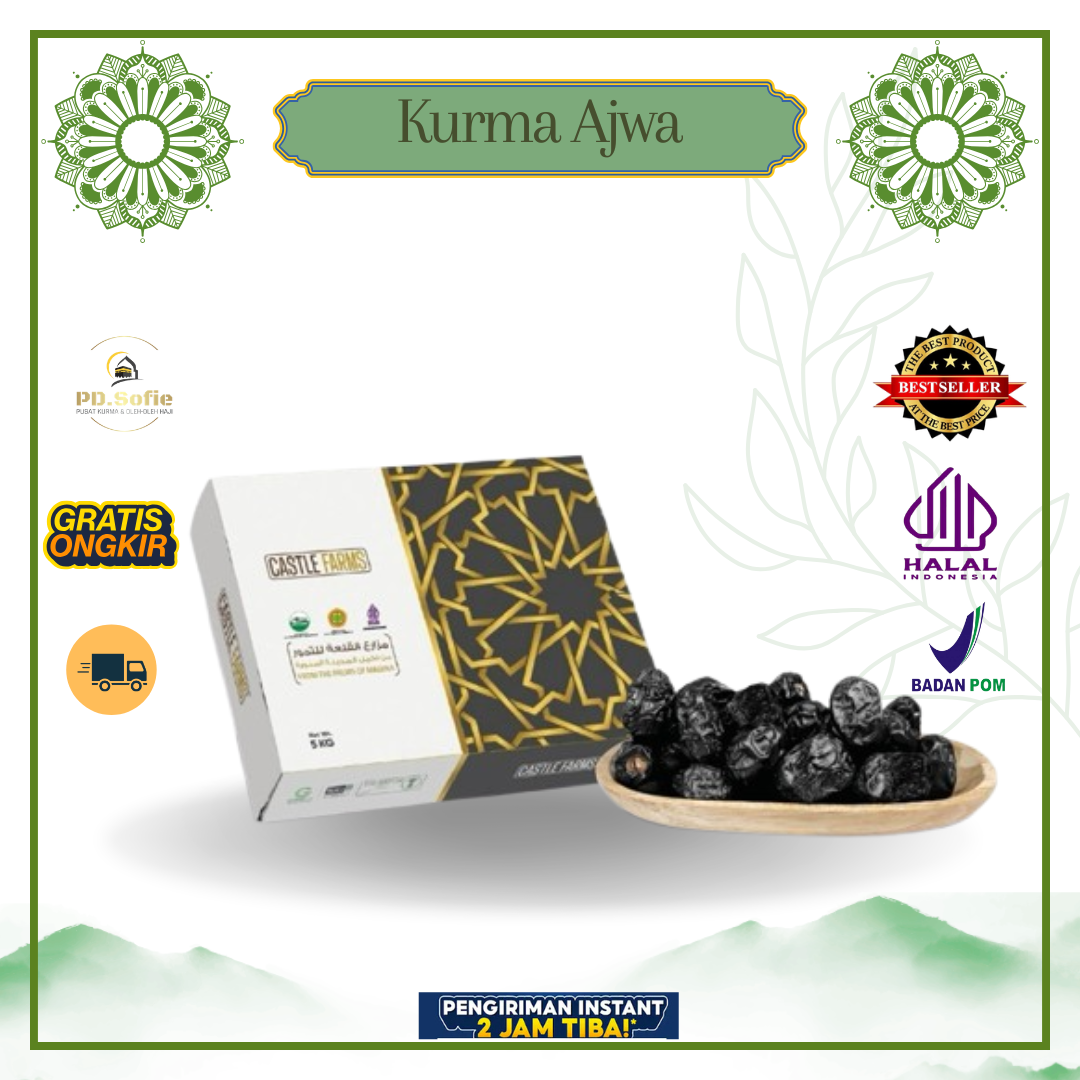 Arabian Ajwa Dates 100Gr 250Gr 500Gr 1kg Natural Sweet Premium Madinah Dates by Haji Umroh