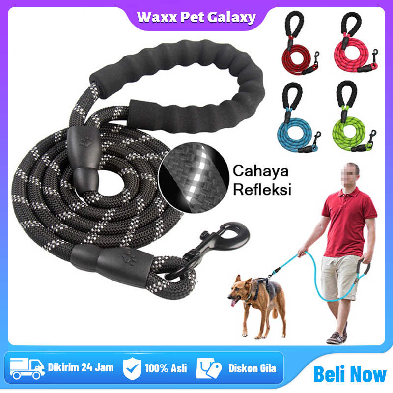 Beli In Dog Leash Online Harga Terbaik Lazada Indonesia