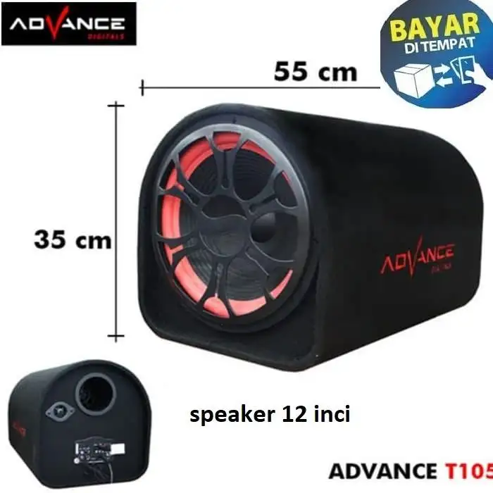 speaker portable advance 12 inch