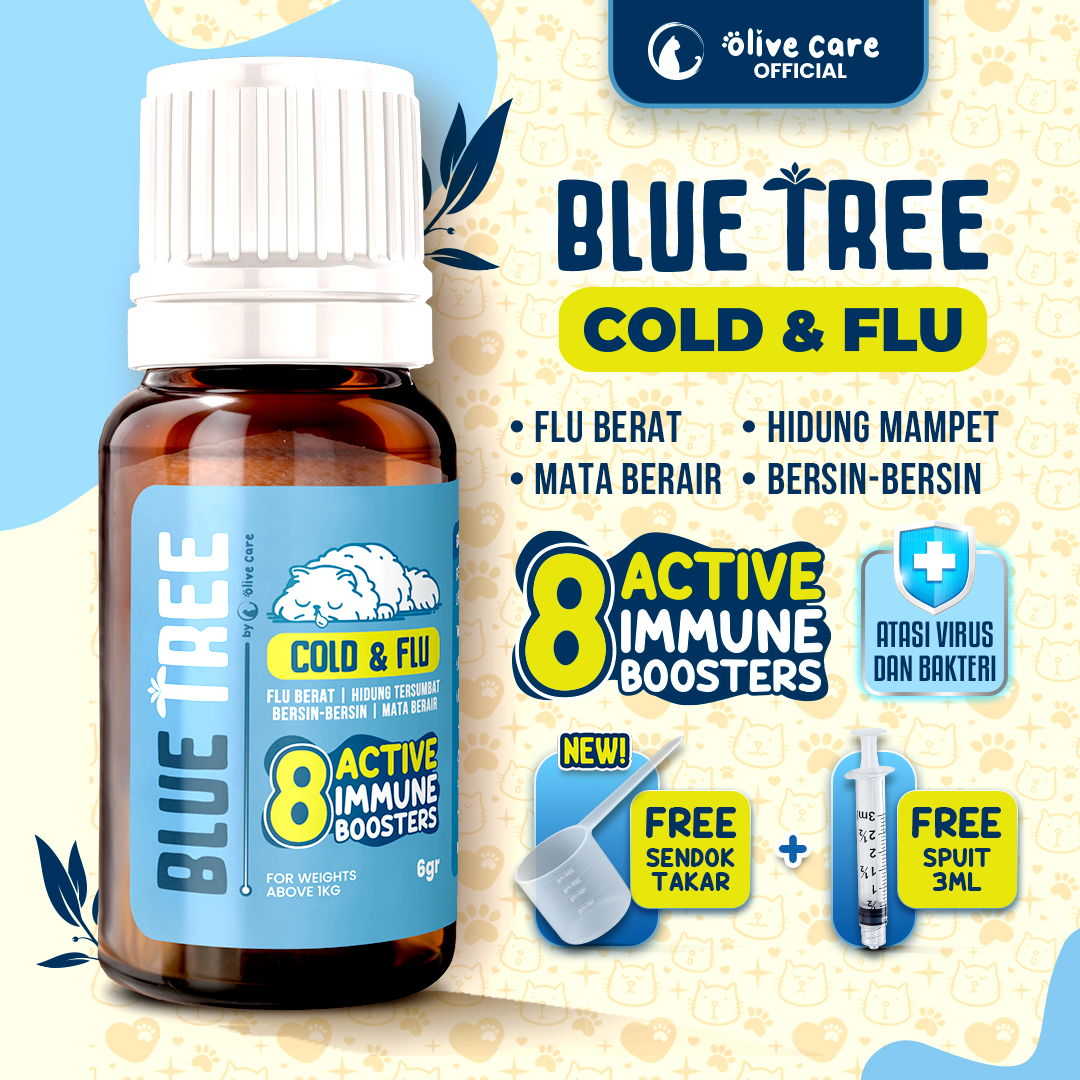 Olive Care Vitamin Obat Kucing BLUE TREE Cold & Flu dengan 8 Bahan Aktif Immune Booster untuk Mengatasi Sakit Flu & Pilek Berat, Hidung Tersumbat, Bersin-Bersin, Mata Berair, Basmi Bakteri dan Virus, Tingkatkan Sistem Imun/Daya Tahan Tubuh Harga 40,040 rupiah*Gratis Ongkir