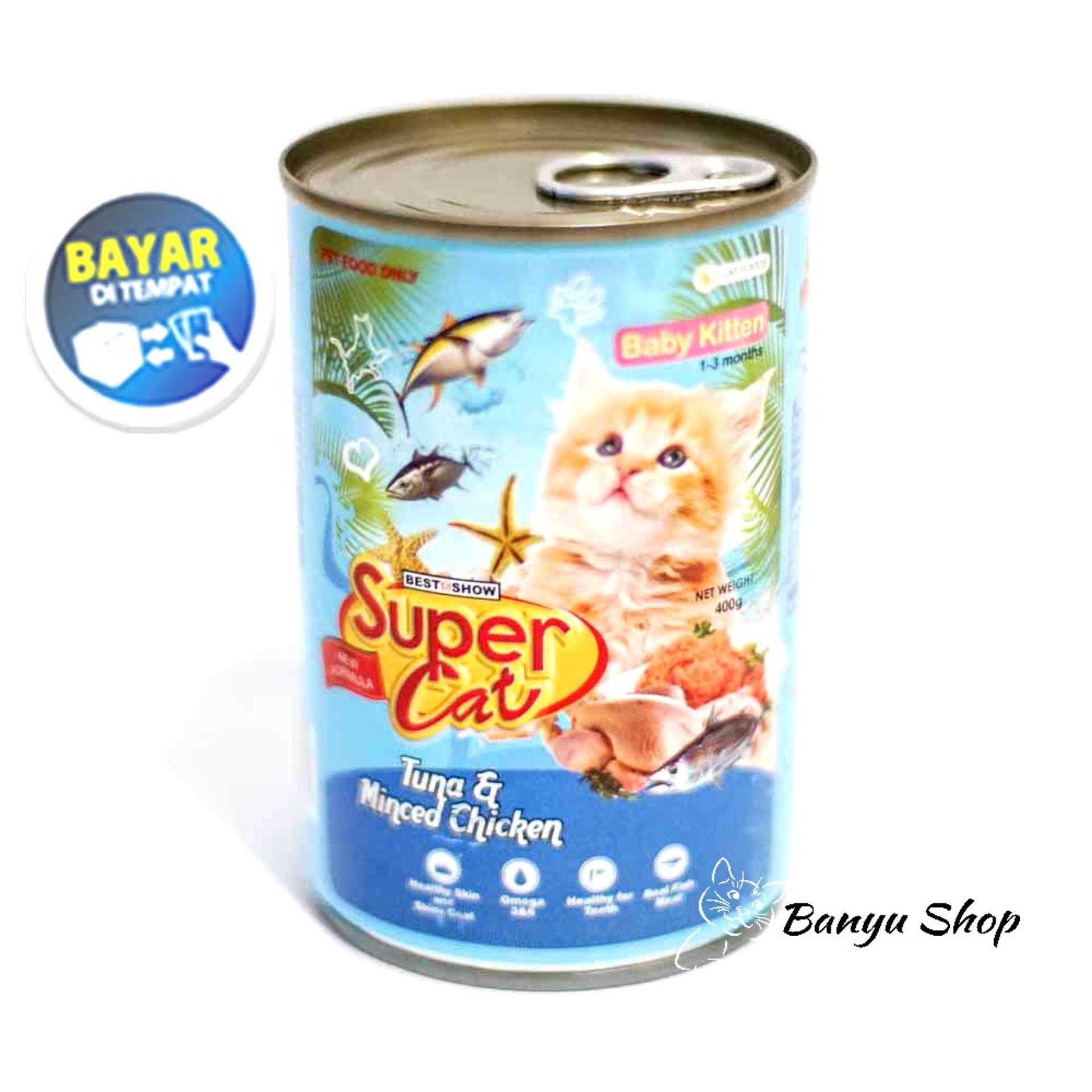 super cat baby kitten