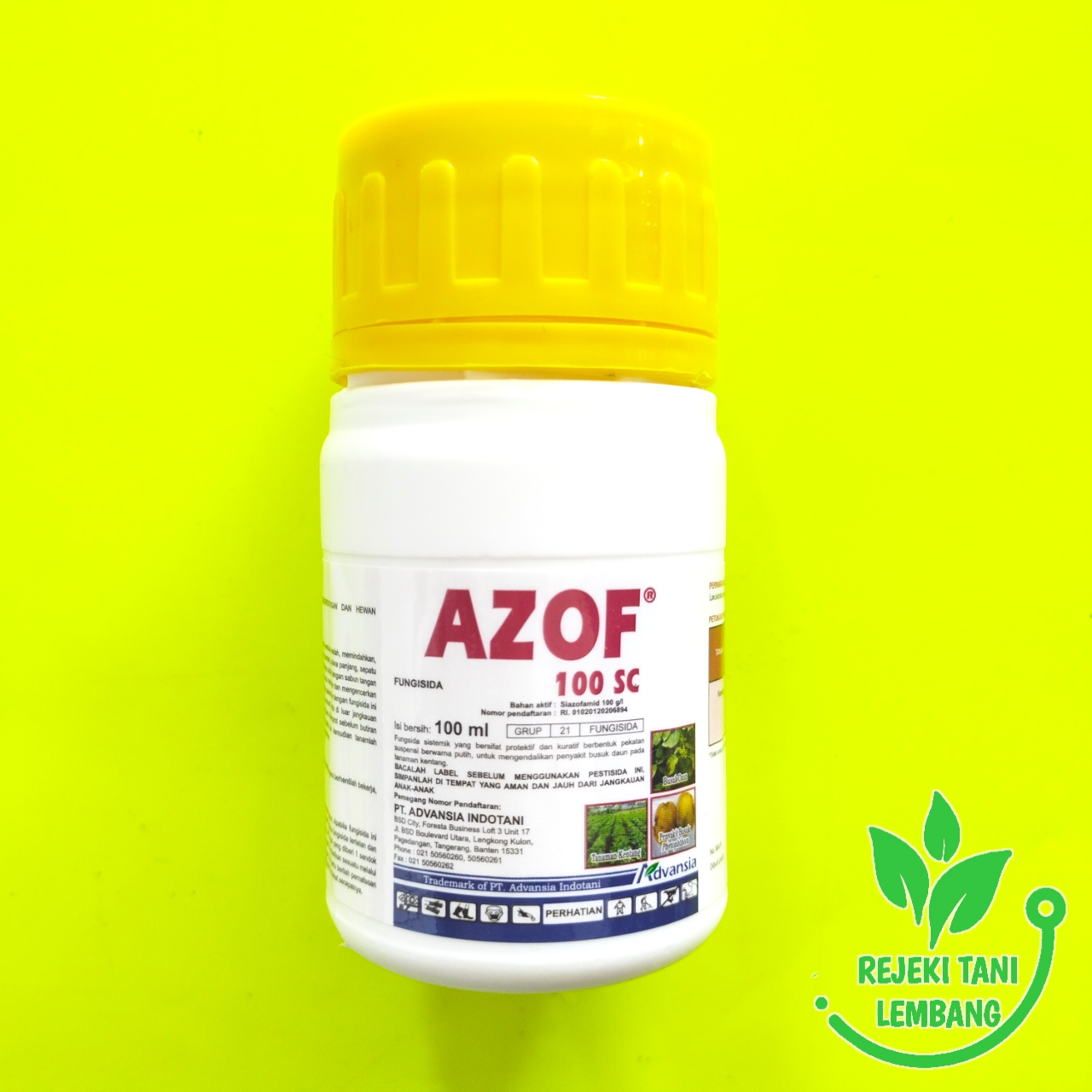 Xotin chozilgan mushuk