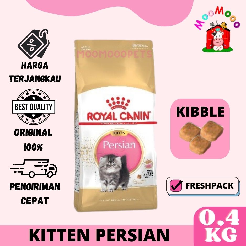 Harga royal best sale canin persian kitten