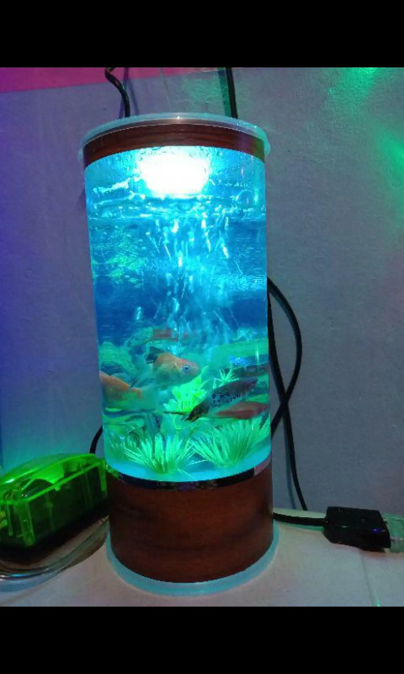 Lampu Aquarium Mini Kori Lazada Indonesia