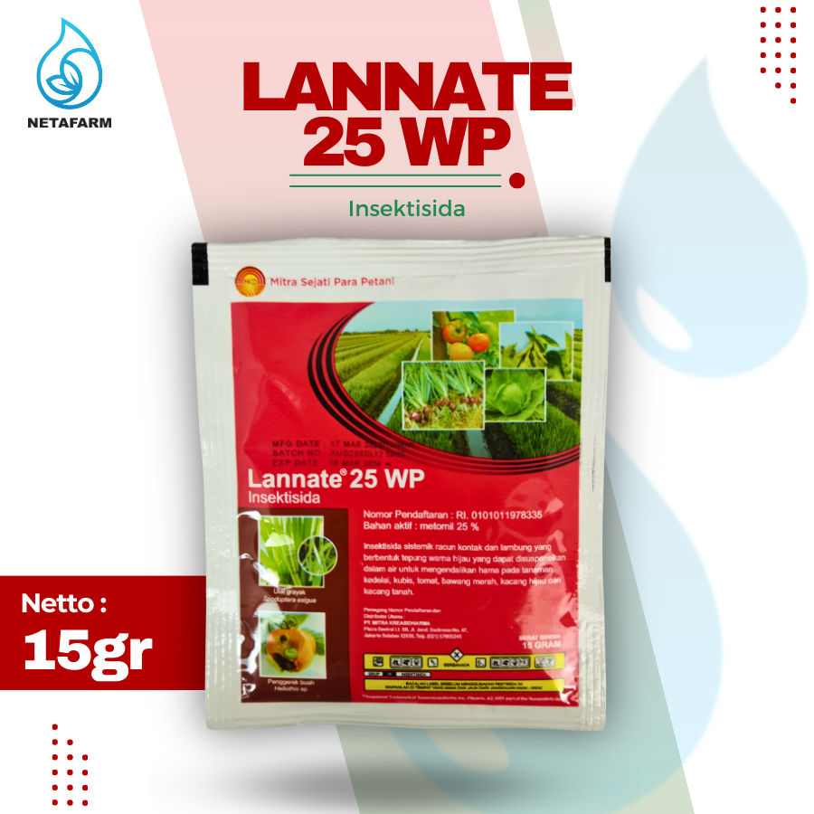 Mushuk bilan yirtilgan pantyhose Tasodifan toqimalarining ichida jum