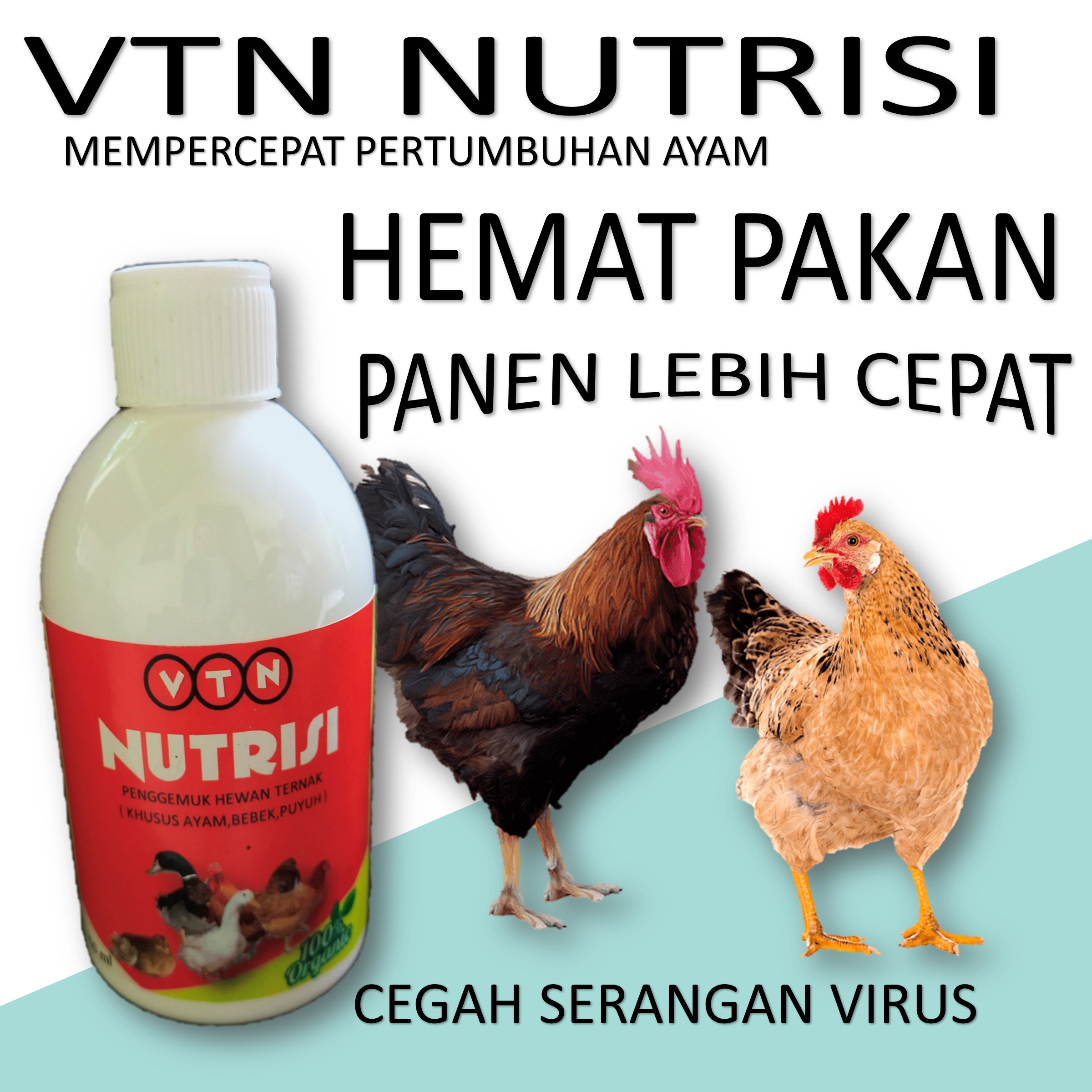 Vitamin Ayam cepat besar Untuk Ayam Kampung Ayam Bangkok Ayam Petelur ayam Aduan dan Obat Ayam Harga 44,990 rupiah*Gratis Ongkir