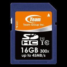 Team Memory Card SD Card SDHC Class 10 UHS1 16GB - Biru