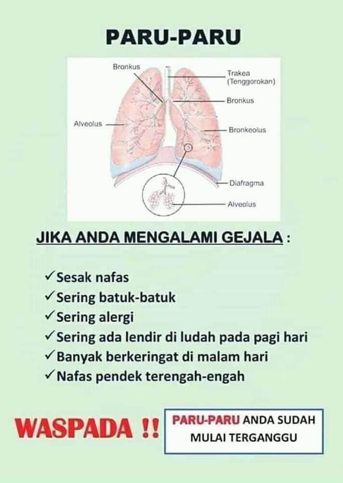 Bron C Fit Jamu Hebat Naturindo Obat Herbal Gurah Paru Paru Sesak Nafas Asma Batuk Kering Batuk Berdahak Batuk Menahun Sakit Tenggorokan Nyeri Dada Mengeluarkan Lendir Ampuh Naturindo Isi 40 Kapsul