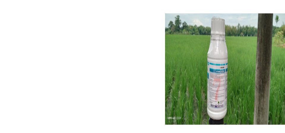 Trendsida 325 Sc 500 Ml Trendsida Fungisida Trendsida Obat Trensida Pupuk Trendsida Fungisida Tanama Lazada Indonesia