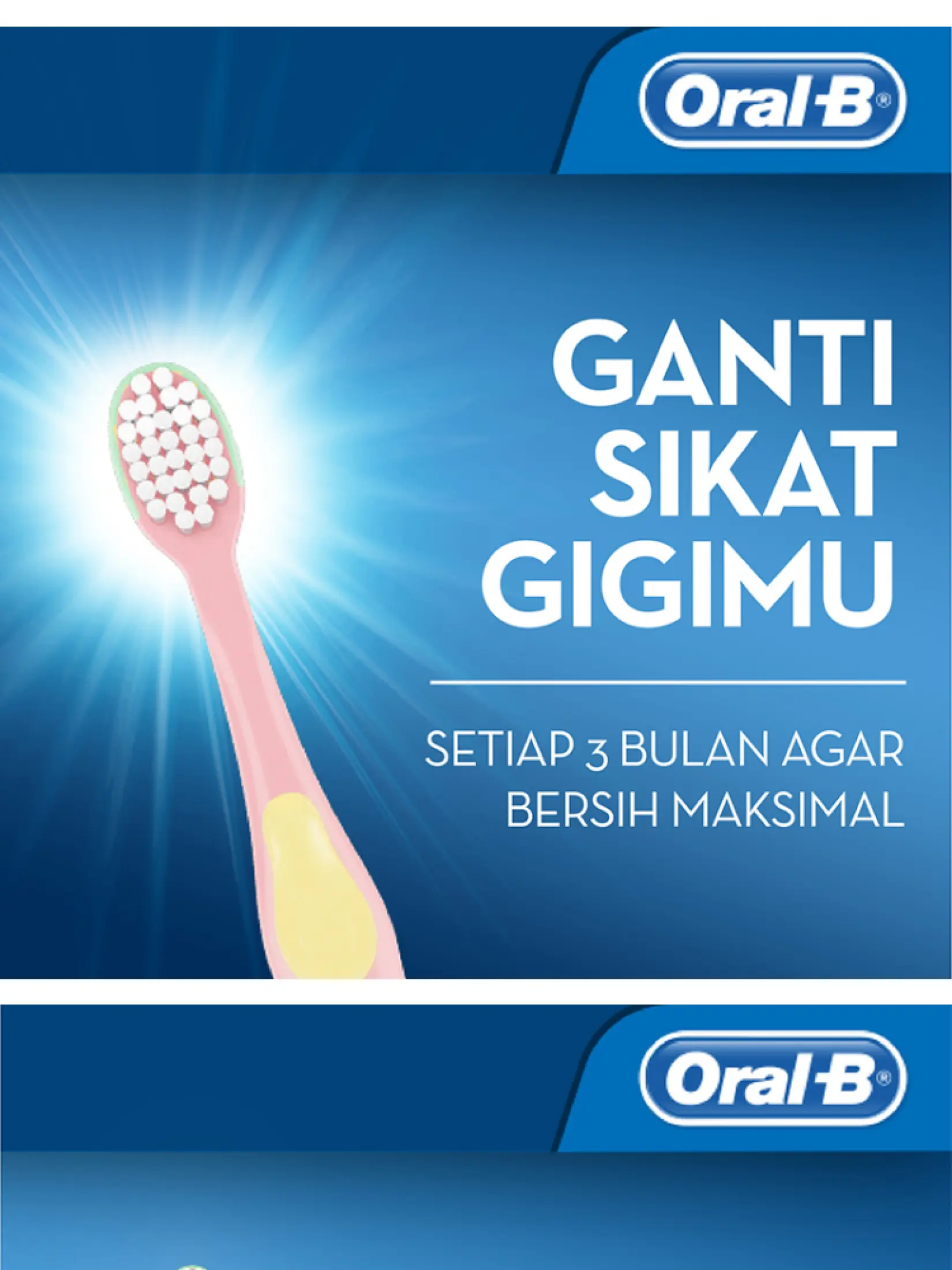 Oral B Sikat Gigi Anak Stages 1 The Pooh 4 24 Bulan Paket Isi 3 Lazada Indonesia