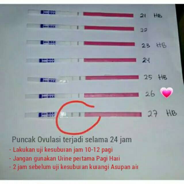 5 Alat Tes Ovulasi Test Ovum Tes Kesuburan Alat Tes Kesuburan Wanita Test Kesuburan Tespek Kehamilan Ovulasi Test Alat Tes Kesuburan Wanita Alat Tes Program Hamil Alat Mengetahui Masa Subur Lazada Indonesia